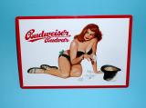 Budweiser Budvar - 20 x 30 cm 