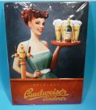3D Budweiser Budvar č.5  20 x 30 cm 