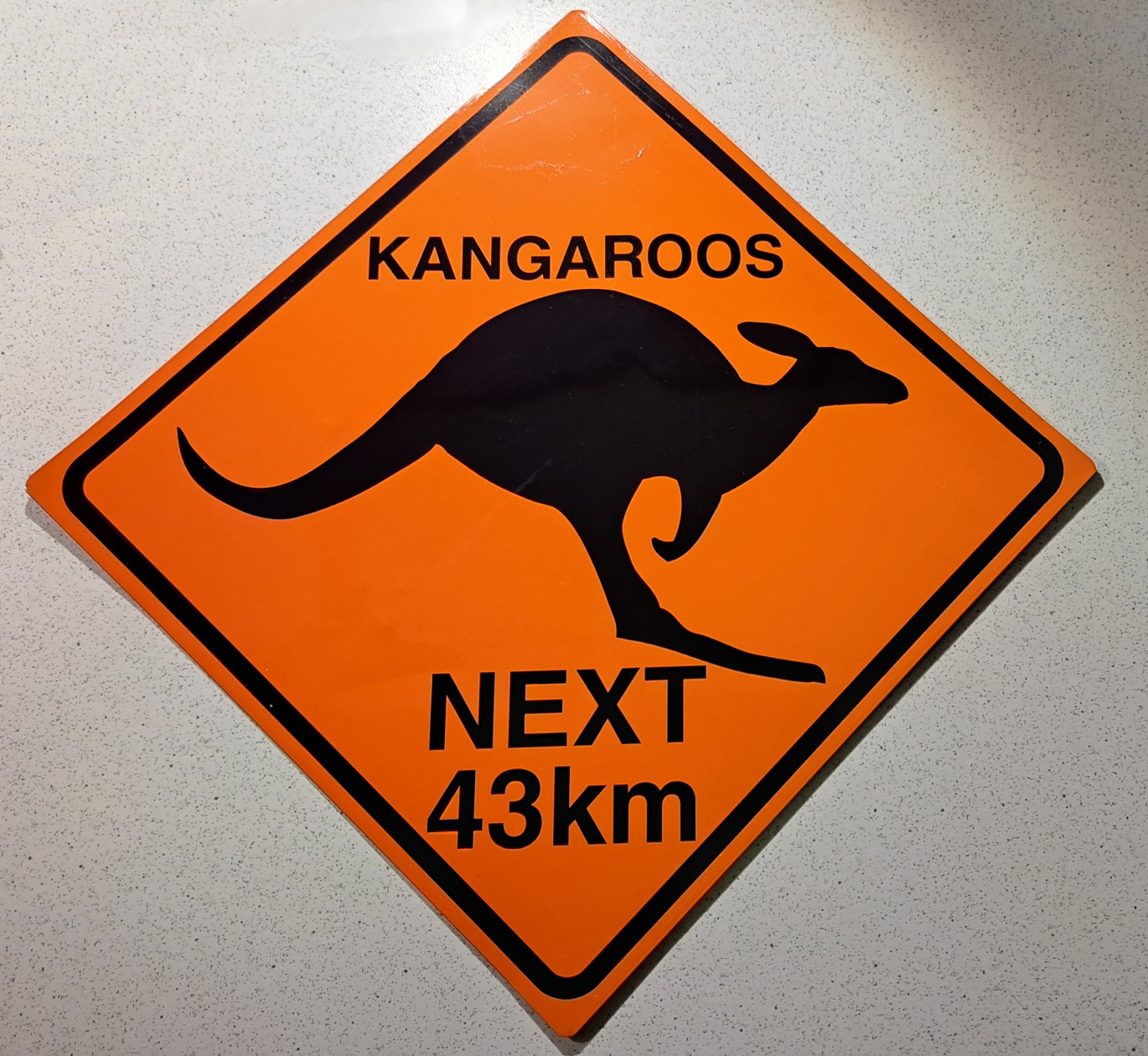 Kangaroos - plechová cedule25x25 cm