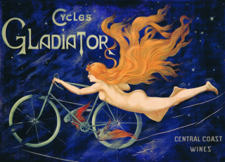 cycles Gladiator 20 x 30 cm