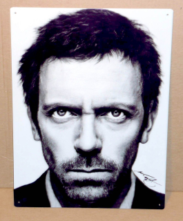 Dr. House 40 x 30 cm