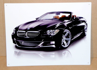 BMW M6 LE 40 x 30 cm