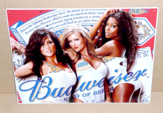 Budweiser 40 x 30 cm