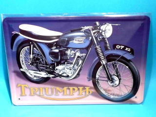 3D moto Triumph   20 x 30
