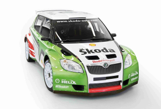 * Škoda Fabia   20 x 30 cm